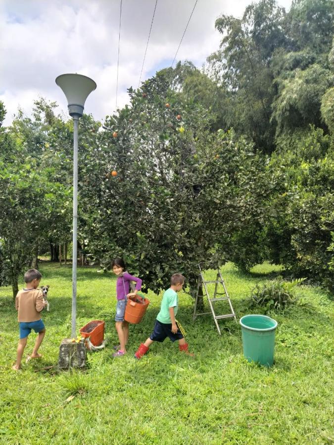La Acuarela, Posada De La Monita Pereira Eksteriør bilde