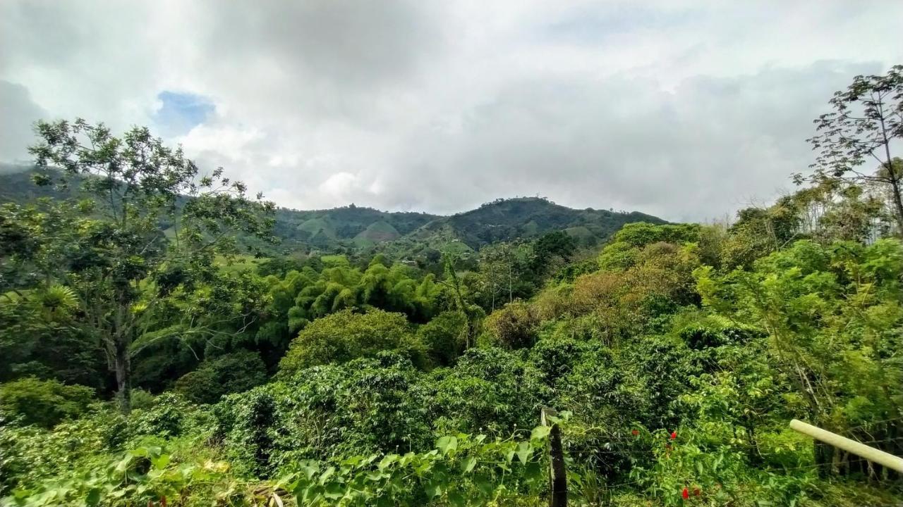 La Acuarela, Posada De La Monita Pereira Eksteriør bilde
